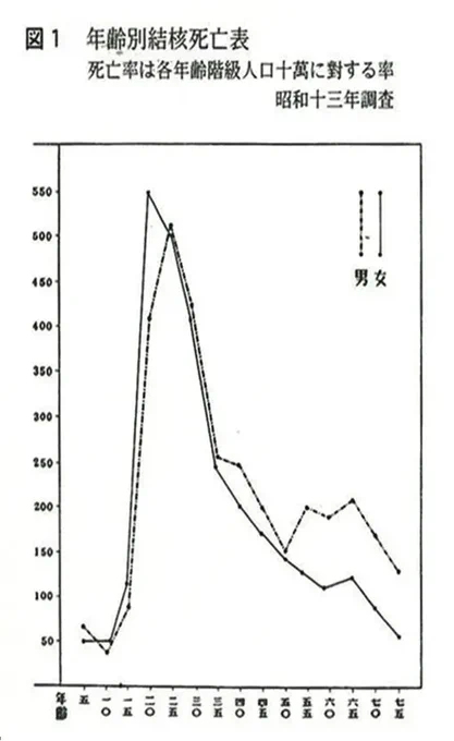 結核は今でこそ日本では治癒可能かつ、感染者も少なくなったが、今でも世界で年間百万人以上が死んでいる病であり、戦後まもない時期までは、日本人の死因1位だった。ガンや脳卒中、心臓病以上に、人を殺す病であり、年間十万人以上が亡くなっていた。 