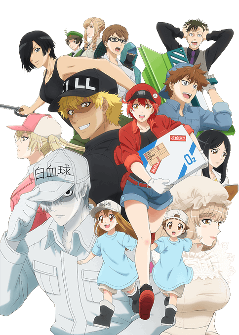 画像まとめ はたらく細胞 日付順 アニメレーダー 画像まとめ はたらく細胞 日付順 アニメレーダー