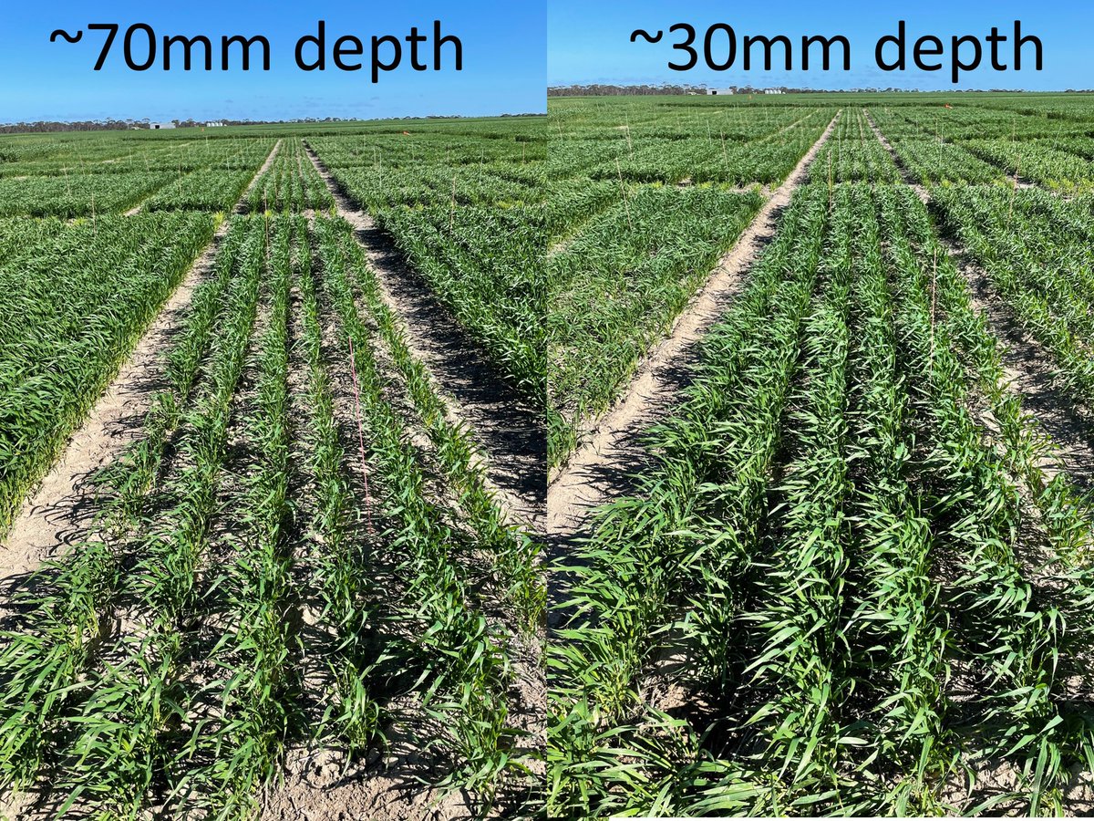 Jeremy Curry tweet media