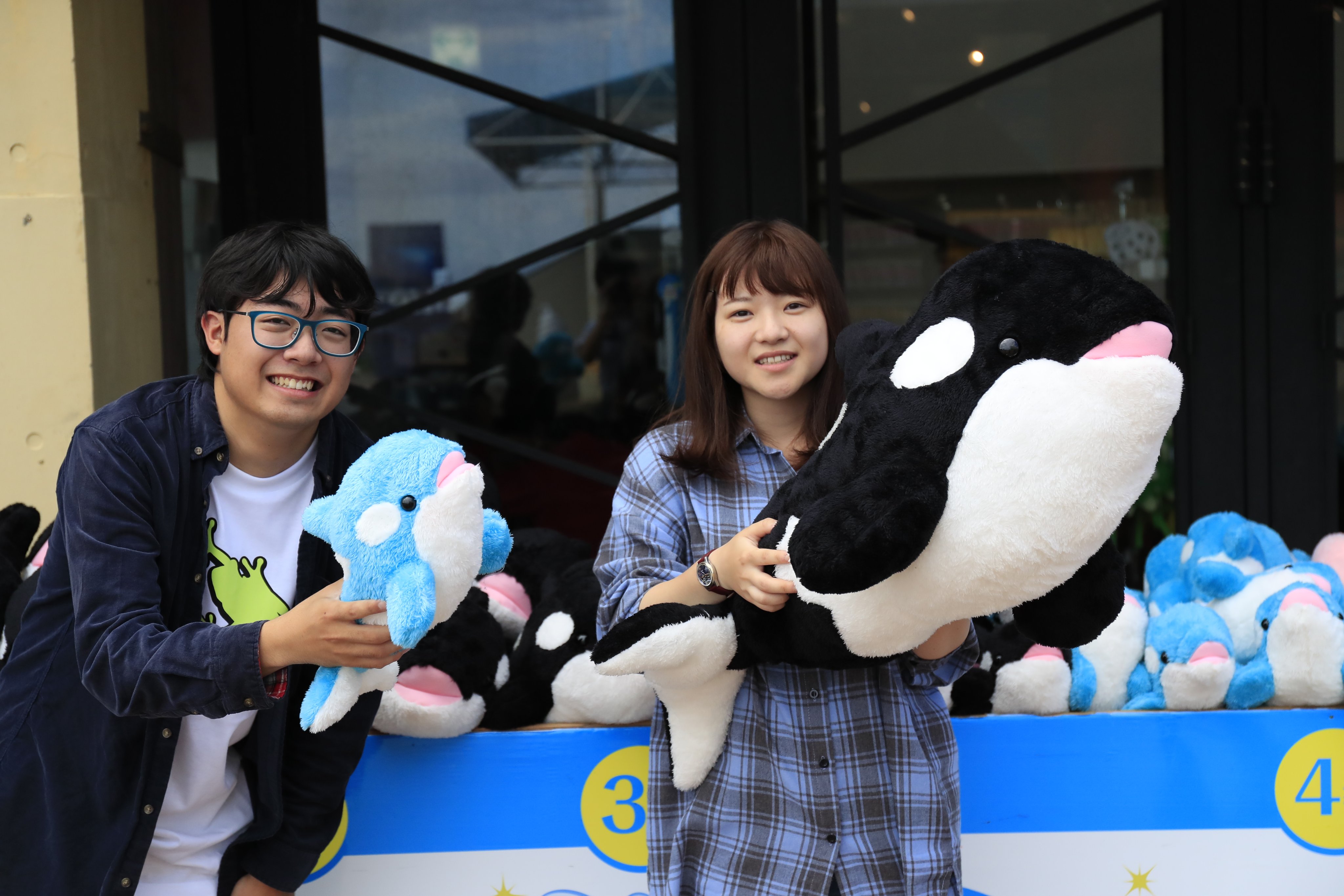 鴨川シーワールド 公式 巷で話題の絶対かわいいぬいぐるみが当たるくじ 鴨川シーワールドでは もれなくシャチがもらえる シャチ くじ と シャチ イルカ ベルーガから選べる Seaロト を実施しています どちらも1回税込1000円で空くじなし