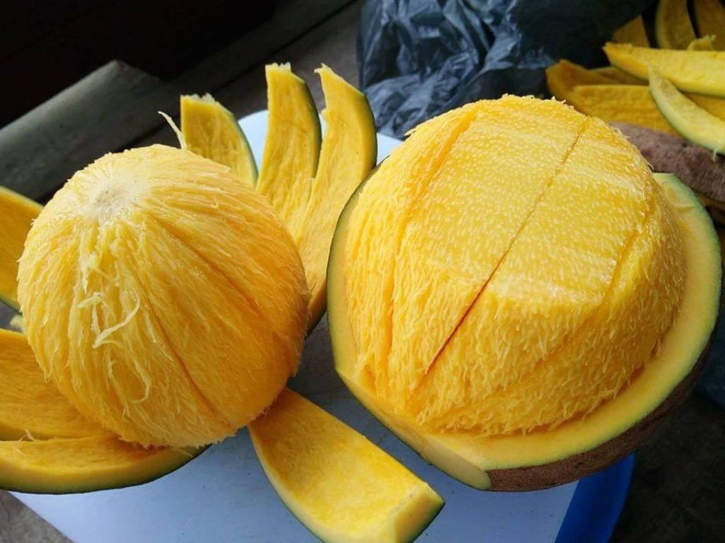 pechNnik's tweet image. Вот она, мечта украинца!!!!!!!

На острове Борнео есть необычный фрукт бам-балан, внешне очень напоминает манго, а на вкус как борщ со сметаной.