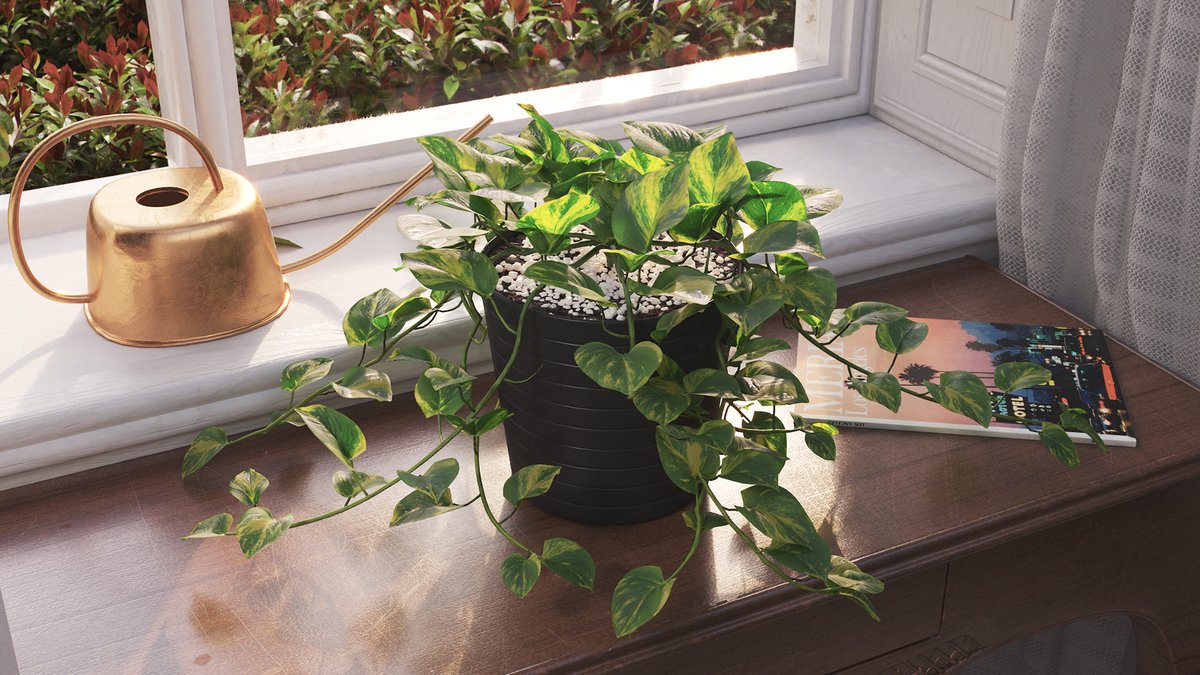 Devils Ivy Plants - Now available for RHINO and SKETCHUP (3ds Max, Blender, FBX also available):   vizpark.com/shop/devils-iv…