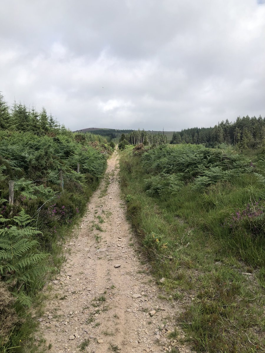clonmelproperty's tweet photo. Walking up to a bit of mountain land (117.5acres) we are selling tomorrow, for a final check over. https://t.co/vMNA1pD7yT
