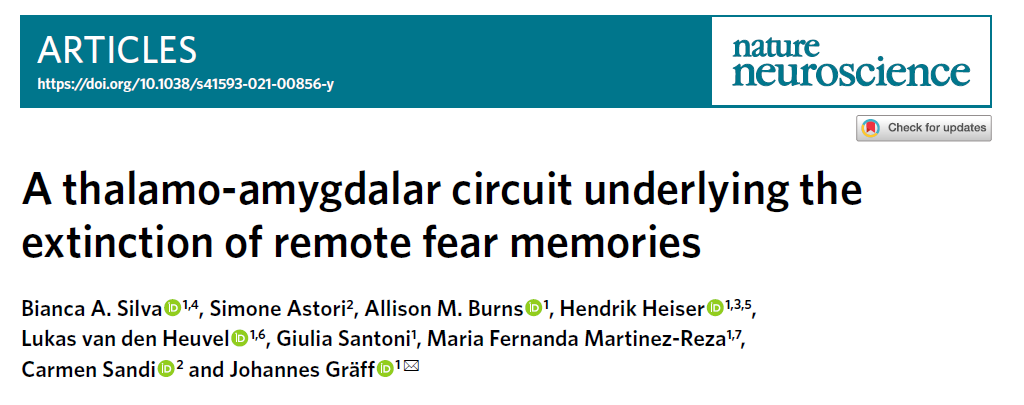 PhD_DSB_UniPD's tweet photo. Today our PhD student Livia Vignozzi will present a @NatureNeuro paper by Bianca A. Silva et al., about the role of the ventral midline thalamus in the extinction of remote fear memories via outputs to the BLA. The opponent will be @alee_testa https://t.co/PWqqCPz0Aa