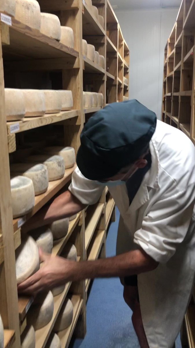 Tarea de volteo de nuestro queso QUEJIGO durante el proceso de afinado en su maduración…

#QueseriaArtesanalLasCortas #quesosaetesanos #afinadodequesos #maduraciondequesos #volteodequesos #Quejigo #MaestroQuesero