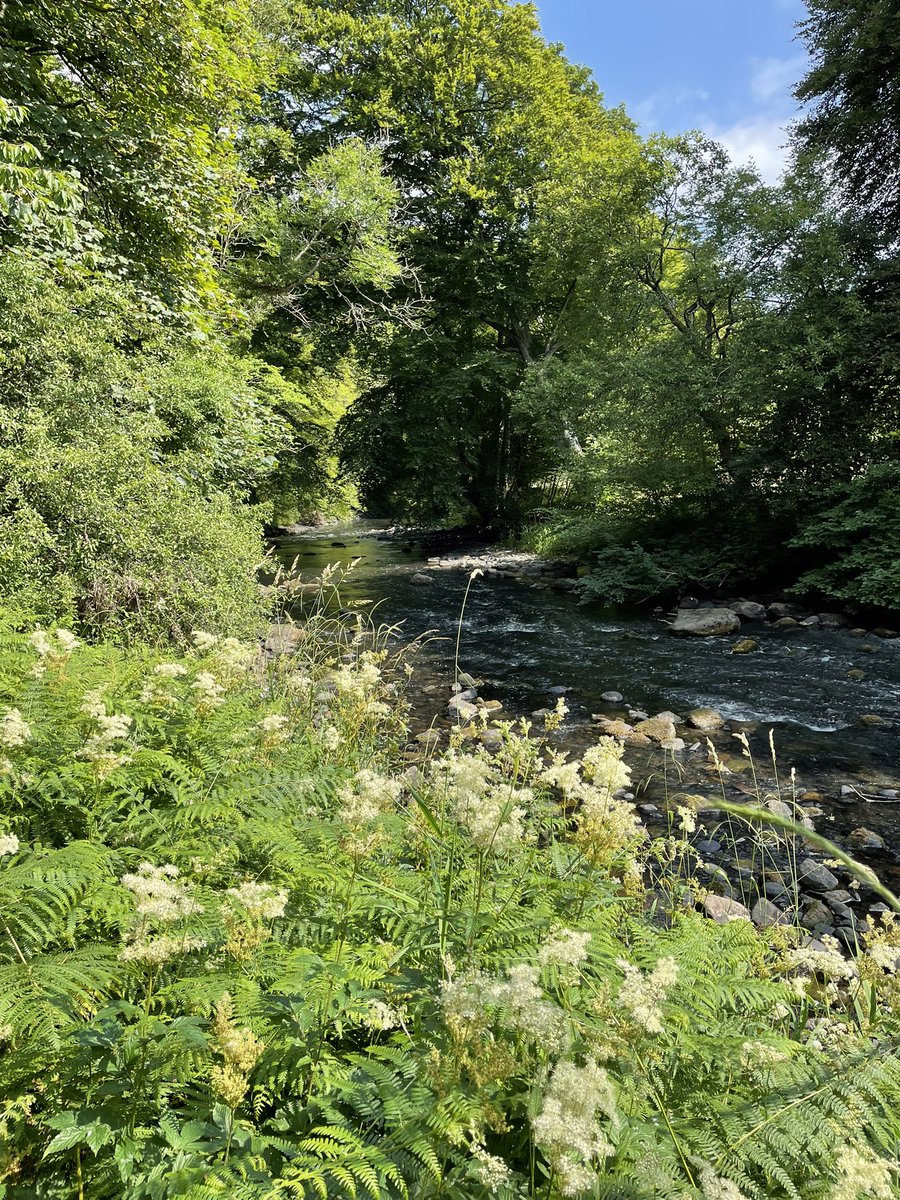 In to my final week of work at Muiravonside, not a bad place to be working today. #muiravonsidecountrypark #countrysideranger #riveravon #pathwork #hotday