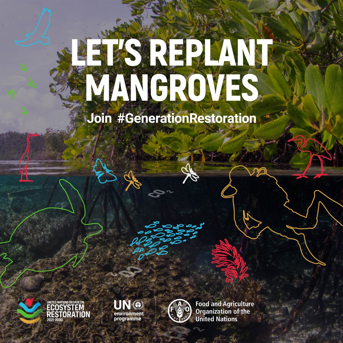🌱 Mangroves are critical in tackling some of the world’s greatest challenges - they provide coastal defence, absorb carbon & are rich in biodiversity 🐠🐡

But #mangroves are disappearing - find out more this #WorldMangroveDay 👉 bit.ly/2TDx3jo

#GenerationRestoration