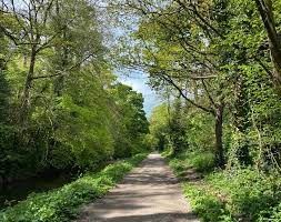 The Cottages tweet media