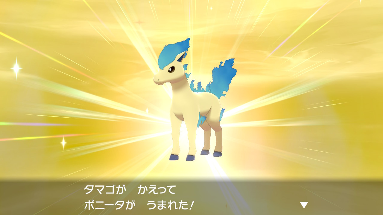 Lia ポケモン剣盾 Nintendoswitch ポニータ カントーポニータの色違い しかも4匹も 4匹はびっくりしました T Co 0mrxechwgu Twitter