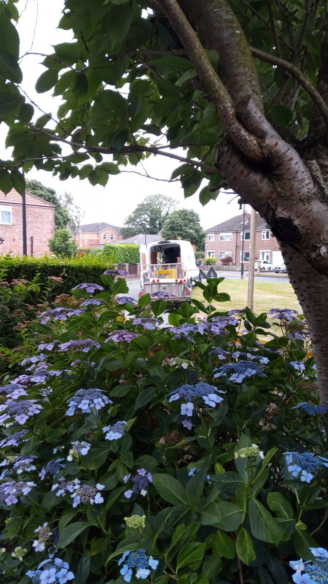 Pescky's tweet photo. @unitedutilities you are fitting a water meter to the property next door and the men have chopped through my broadband cable.  Please contact me regarding loss of earnings. Thanks https://t.co/XDs01Whjdd