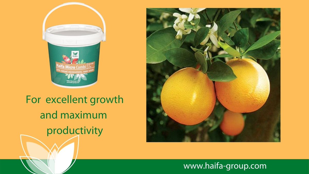 Haifa_SEE's tweet photo. Haifa Micro Combi for excellent growth and maximum productivity #Haifa #Micro #Combi #HaifaSEE https://t.co/mYff9uIaQR