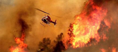 L'incendio in Sardegna potrebbe essere una delle più gravi crisi ambientali d'Italia. 
20.000 ettari in fumo: vigneti, aziende agricole, foreste secolari. Centinaia gli animali morti tra le fiamme che danneggiano i centri abitati dell'oristanese. 
#SardegnaInFiamme
#dmj