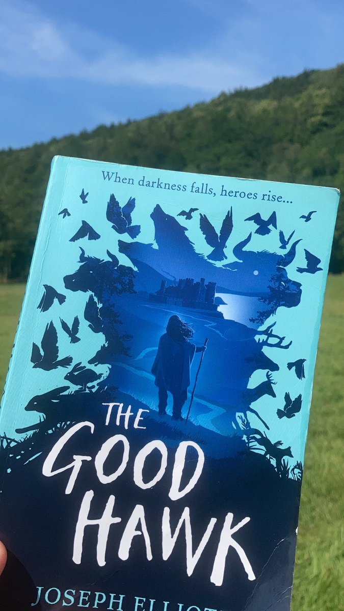 fraserteach's tweet photo. Just finished @joseph_elliott ‘s gorgeous #TheGoodHawk sitting in a Welsh field. What a wonder and delight to read diverse characters - thrilling from beginning to end! Off to find a bookshop to buy next in Shadow Skye trilogy 🤓 https://t.co/Pq7EdDdp3l