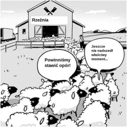 JerzyBilowicki's tweet photo. z sieci https://t.co/SAXJ5aramn