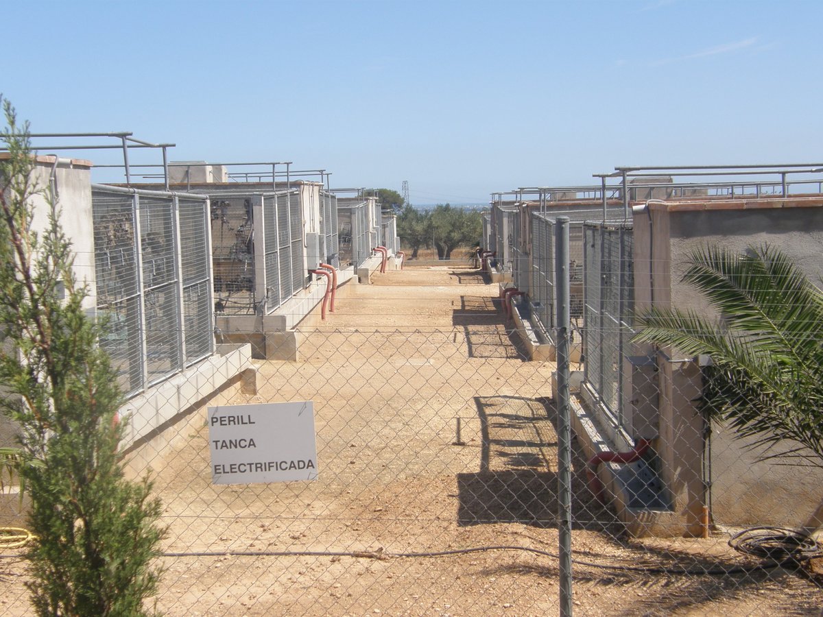 Long-tailed macaques at Camarney SL in Spain; credit: Cruelty Free International