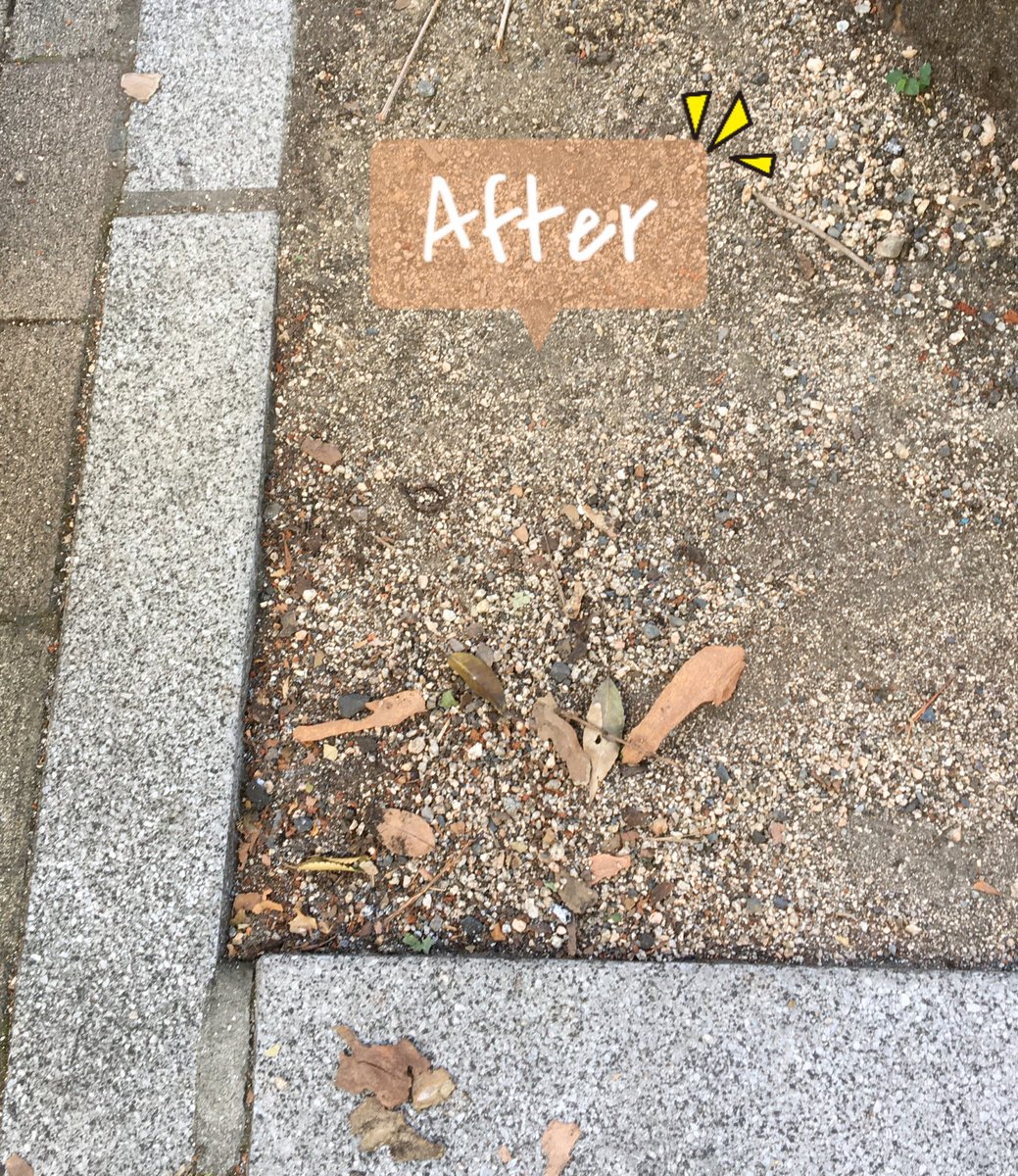 cgm_okayama's tweet image. 街路樹脇のある一角にたくさんのたばこがありました💦
全部拾ってきれいになりました✨

拾いつつ、身の回りや自分の心もきれいにしたいと普段の自分を省みる時間になりました😃

#ブルーサンタ　#ごみ拾い 
#心もきれいに