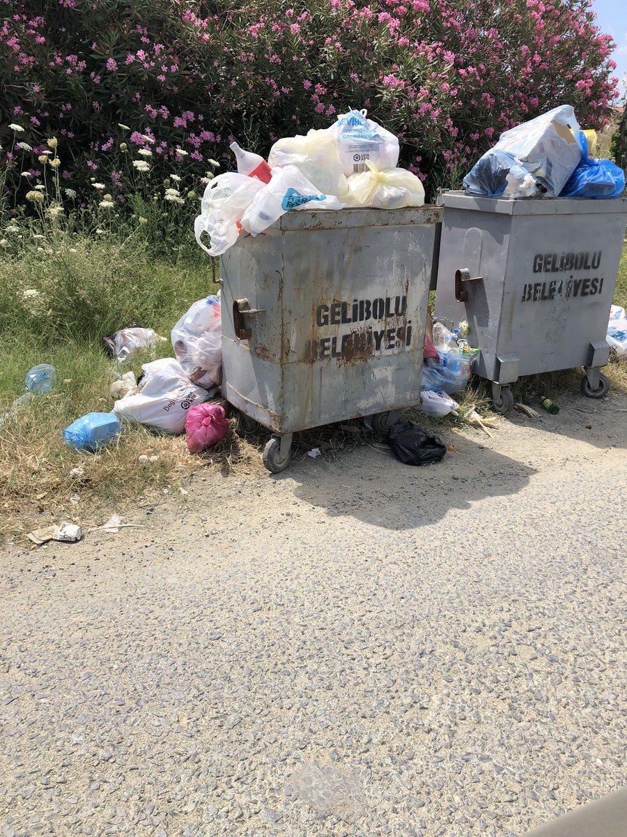 Samsa Paşa (@samsapasa) on Twitter photo Bu cennetin ölmesine izin vermeyin yeter! <a href="/kilicdarogluk/">Kemal Kılıçdaroğlu</a> <a href="/eczozgurozel/">Özgür Özel</a> <a href="/ckalebelediye/">Çanakkale Belediyesi</a> <a href="/gelibolubel/">Gelibolu Belediyesi</a> Bu cennetin ölmesine izin vermeyin yeter! <a href="/kilicdarogluk/">Kemal Kılıçdaroğlu</a> <a href="/eczozgurozel/">Özgür Özel</a> <a href="/ckalebelediye/">Çanakkale Belediyesi</a> <a href="/gelibolubel/">Gelibolu Belediyesi</a>
