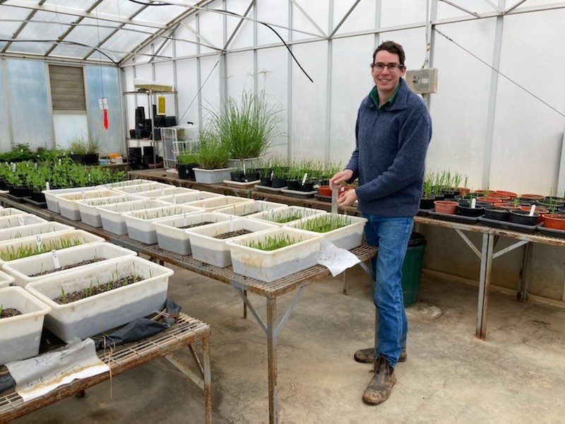 A quick experiment set up by CSUs Crop Agro class with some of CSIROs high vigour wheat lines, already some big differences 8 days after sowing! Can't wait to see how they go out in the field as a part of my GRS funded PhD investigating short lifecyle wheat <a href="/rebetzke_0/">Greg Rebetzke</a> <a href="/theGRDC/">GRDC</a>