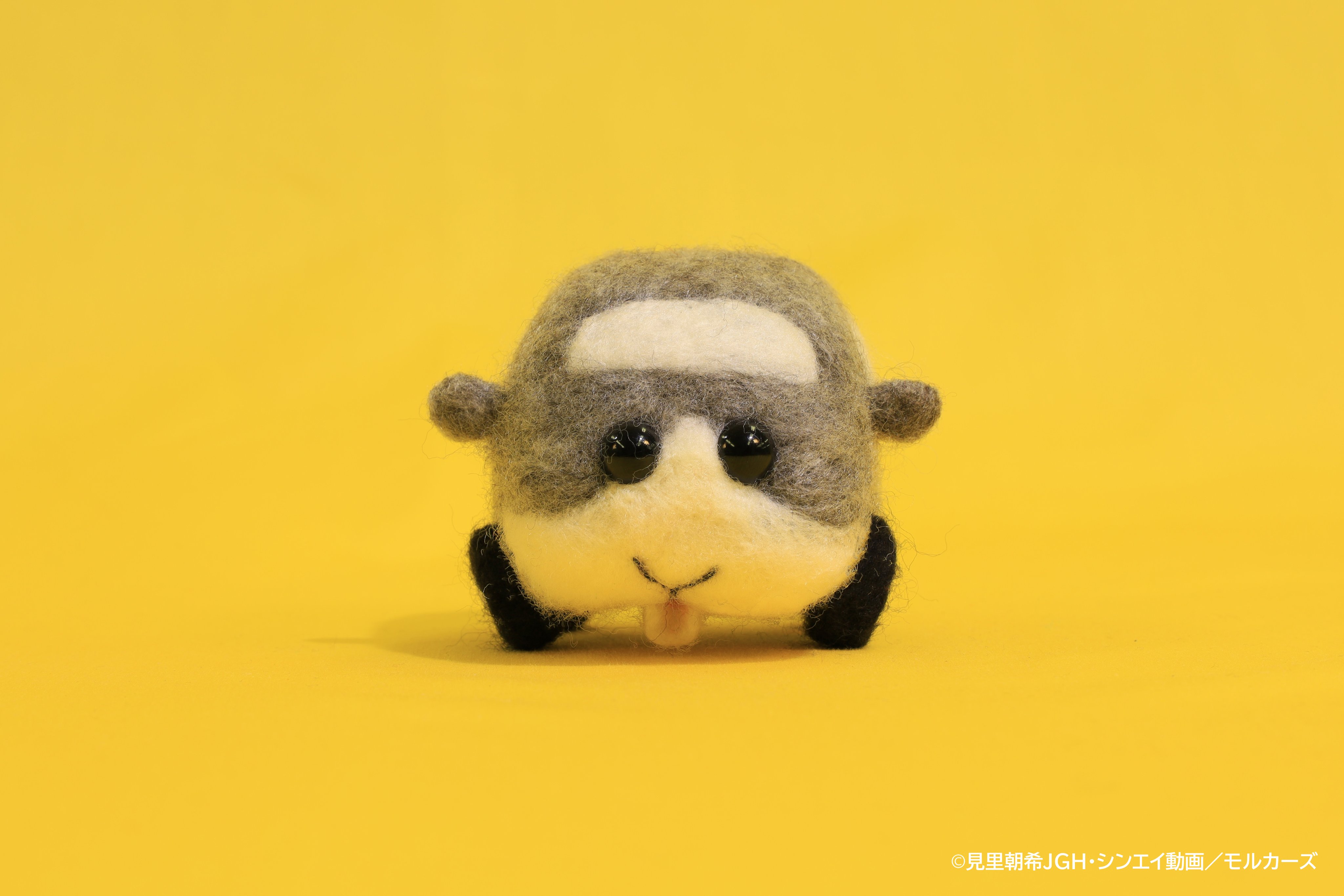 PUI PUI モルカー【公式】 on X: 