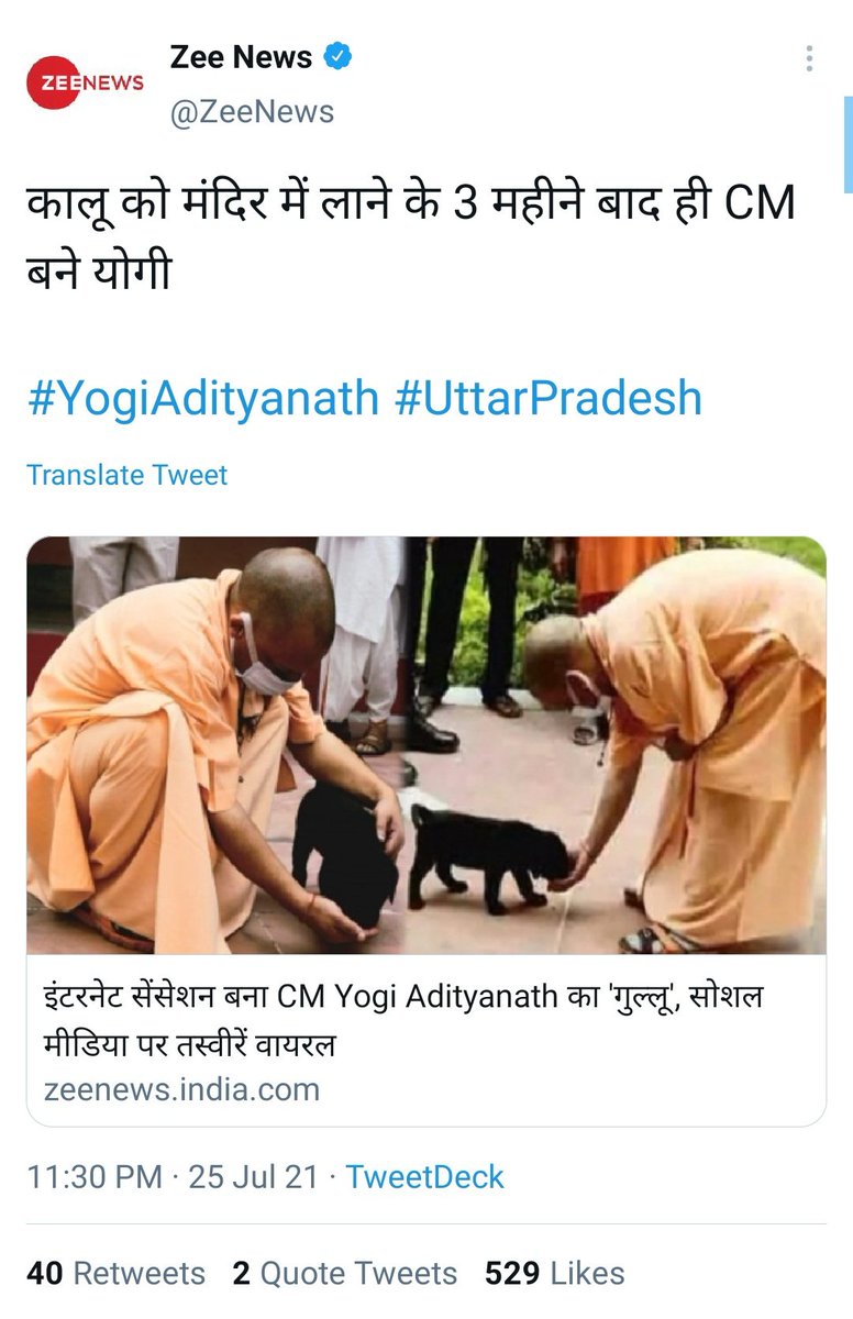 zoo_bear's tweet photo. आज की ताजा खबर : गुल्लू https://t.co/ZOOSDtUqvn