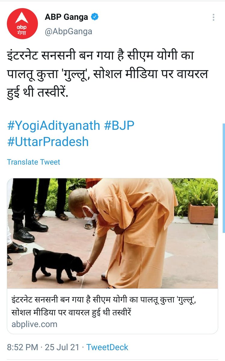 zoo_bear's tweet photo. आज की ताजा खबर : गुल्लू https://t.co/ZOOSDtUqvn