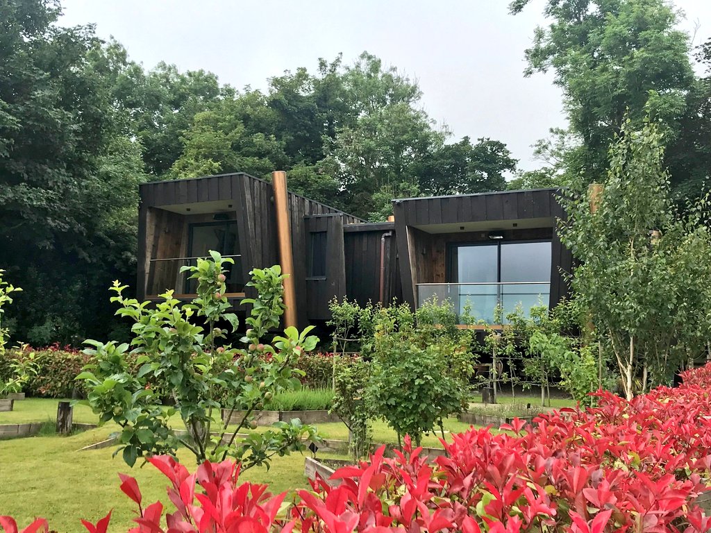 The MICHELIN Guide tweet media