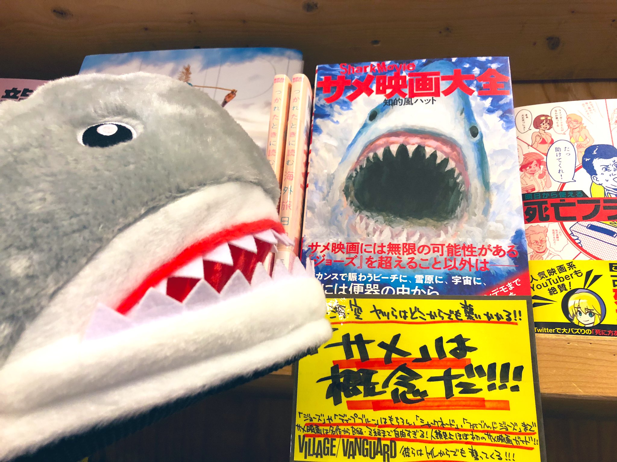 知的風ハット