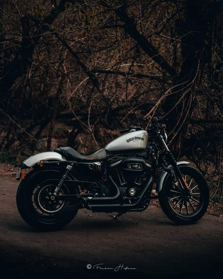 BENGAL HARLEY-DAVIDSON al Twitter: BENGAL HARLEY-DAVIDSON al Twitter: