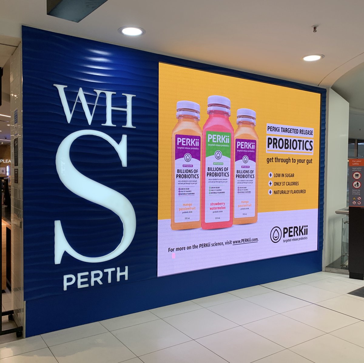 perkiiprobiotic's tweet photo. We've taken over WH Smith Perth 🙌 

Get through to your gut with PERKii Probiotic Drinks. Low in sugar, only 37 calories and bottled with billions of Targeted Release Probiotics! 

Available right now in the WH Smith fridges ❄️

#perkii #probiotics #perkiiprobiotics https://t.co/5drlOiHe3r