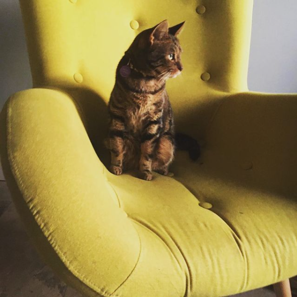 Tip #3 - Get comfortable. 

You can sit, lie down, stand, or walk—whatever is most comfortable for you in the moment.
⁠
#meditation⁠ #nutritiontips⁠ #meditationtips⁠ #health⁠ #meditationmonday⁠ #nottingham