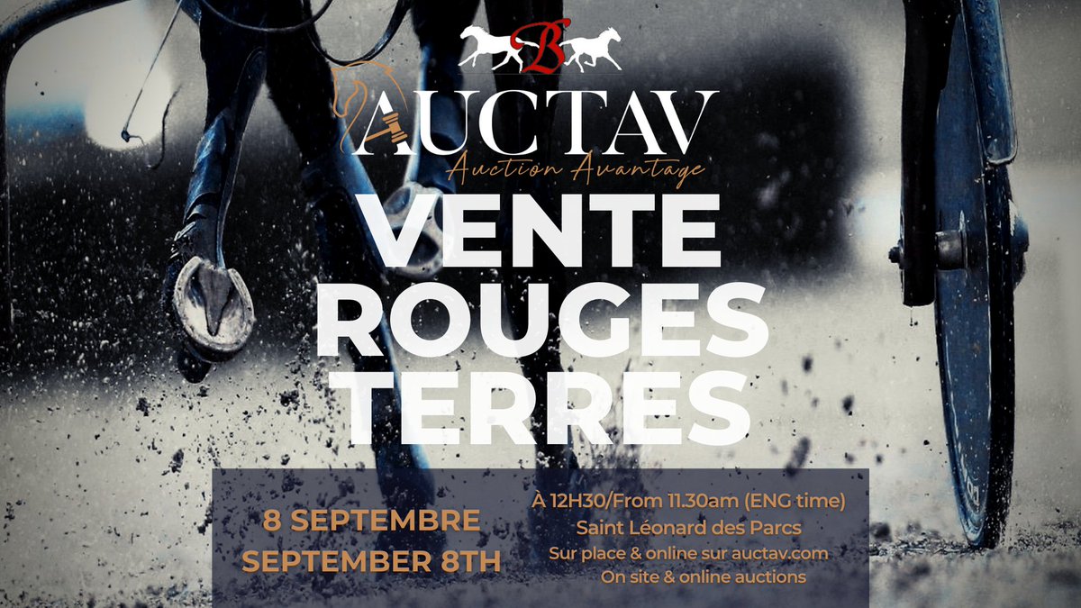 AuctavSales's tweet photo. #EVENEMENT
🚨 SALE / ENCHÈRES
8 SEPTEMBRE/SEPTEMBER 8th
⌚ VENTE DU HARAS DES ROUGES TERRES
🗓 Catalogue disponible le 9 août / available August 9th
#Enchères #Sales #auctav #horseracing #Trot #Harness #Standarbred
@louisbaudron https://t.co/o39LKT3IzS