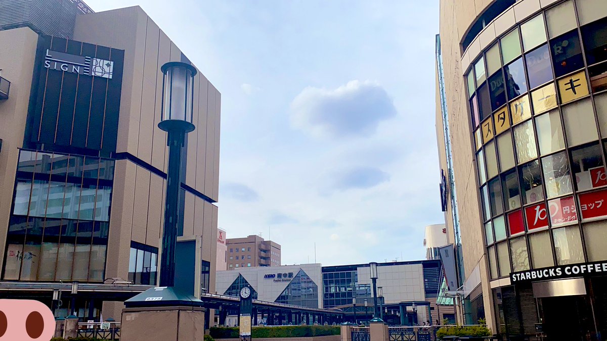 Oichanmusi の画像 動画一覧 Whotwi グラフィカルtwitter分析