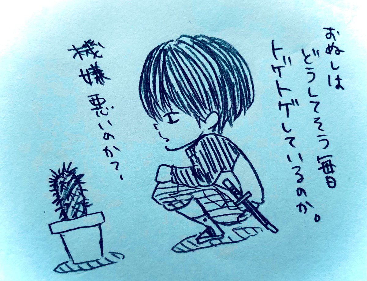 津村マミ Tumudora Twitter 津村マミ Tumudora Twitter