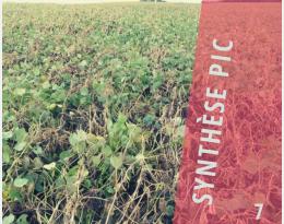 Une synthèse mise à jour à lire : les sclérotinioses des ennemis de nombreuses cultures ow.ly/94n050FyA7o