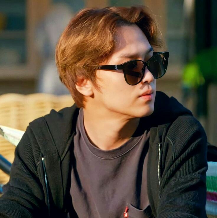 haechanfeed's tweet photo. haechan as grizzly of we bare bears, a long cute thread; https://t.co/U4GdVLp4AE