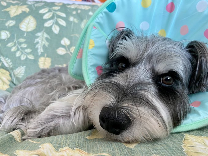 è§åºŠã«ãã£ãŠã¯ããã£ãã£ãŒããã«èŠããð¶ð¶ç¬