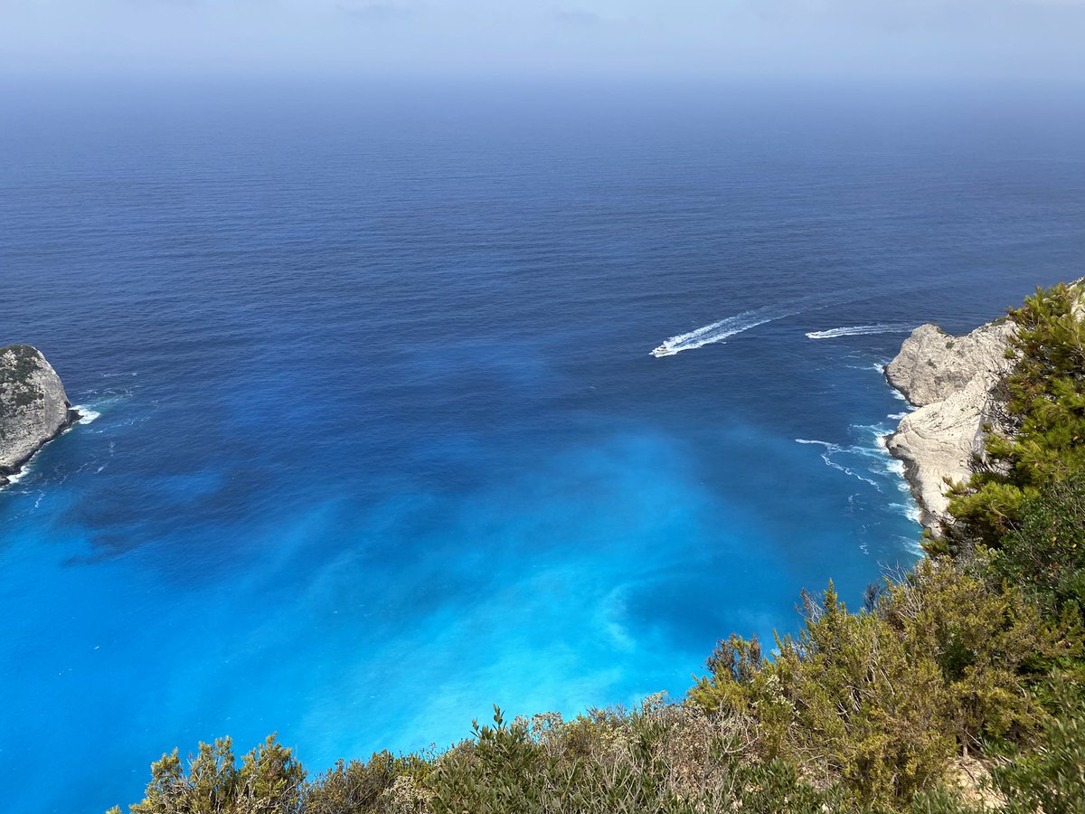 Jessy Kramer tweet media