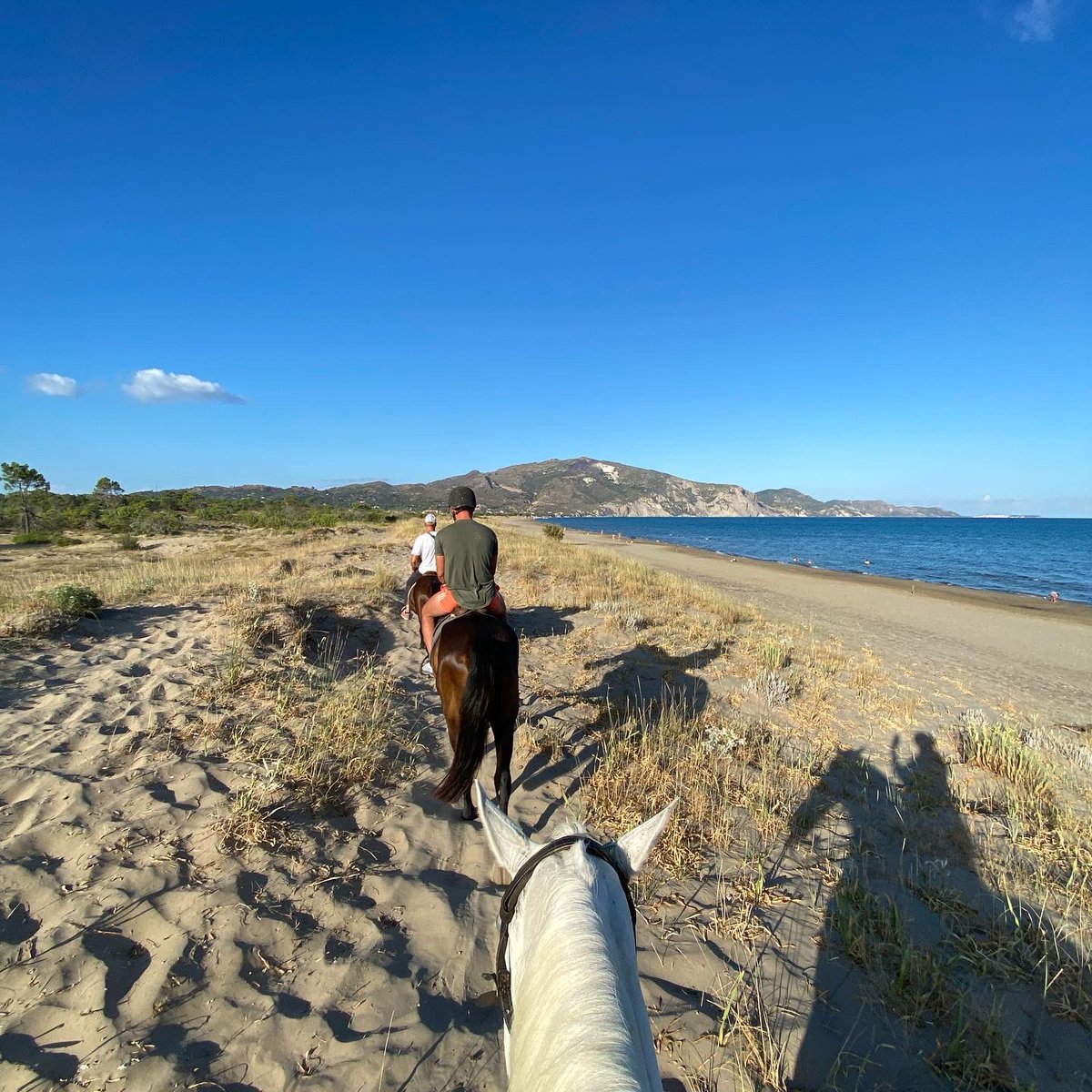 Jessy Kramer tweet media