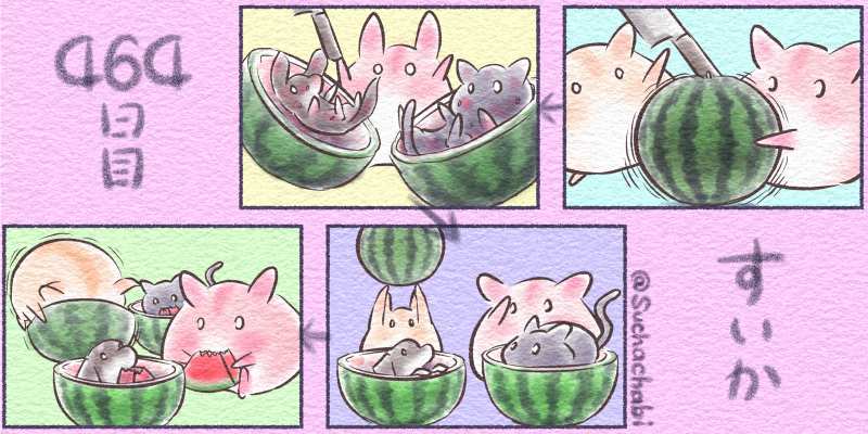 464日目 すいか
#スイカの日 🍉(7月27日) 