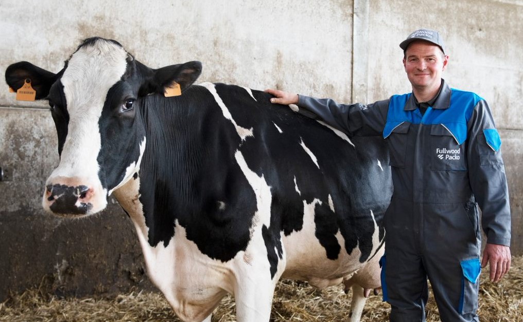 FullwoodPackoUK's tweet photo. Like our farmers, we know that cows that are comfortable and healthy produce more milk of a higher quality #everydropcounts 🥛

#MilkingSolutions #FullwoodPackoUK #Dairy #Cow 

For more information, follow the link below:
https://t.co/DHhof7JVdE https://t.co/7ddSirZiPp