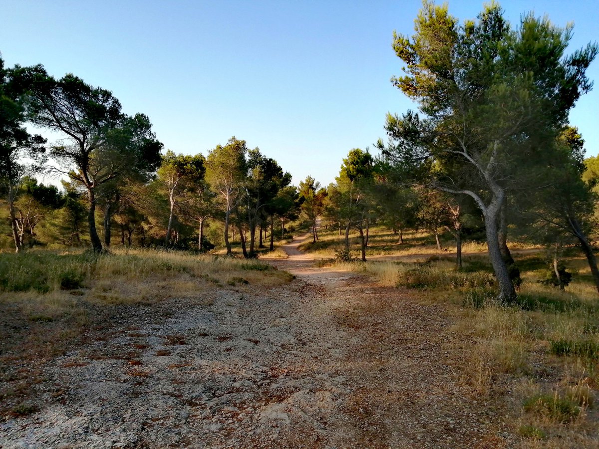 Magnificent ride up the Plateau de #Ventabren early doors, before the heat becomes unbearable. Stunning views over the #Roquefavour #aquaduc and #Cézanne's Sainte Victoire Mountain. #cyclingUphill #gravel #Provence #homesweethome #cycling