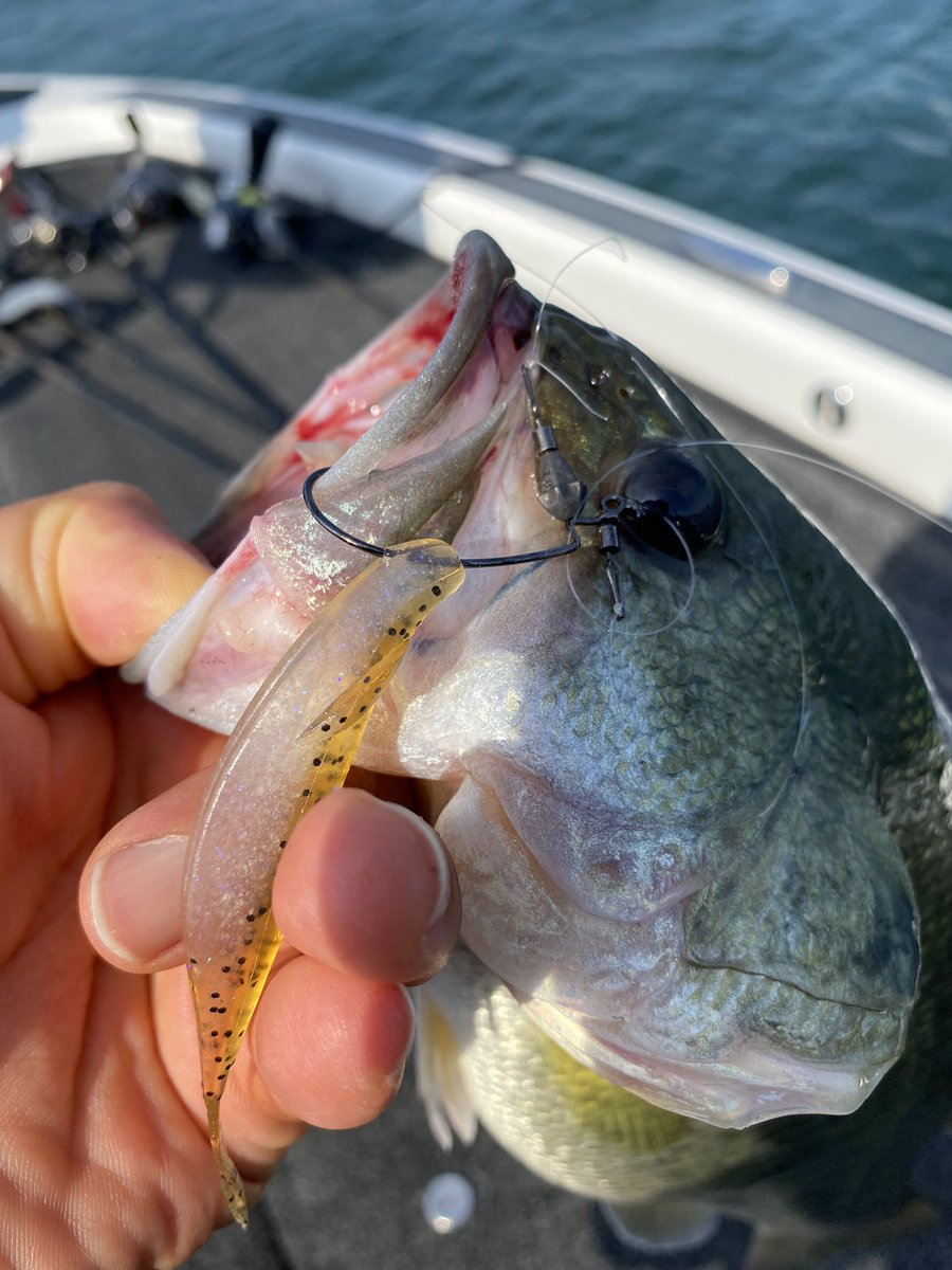 琵琶湖バス釣り 琵琶湖バス釣り