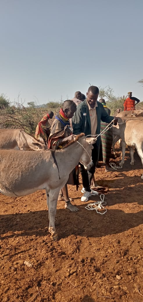 TheBrookeEA's tweet photo. @TheBrookeEA partner @apadlodwar leads local communities in training on compassionate handling & handed over of tools from the directorate of Agriculture to donkey owners at Kaekoro Akwaan in Loima,Turkana County.
#CompassionateHandling
#DonkeyWelfare https://t.co/JWYOvjL6KY