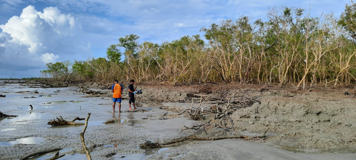 BhadPunyasloke's tweet photo. #WorldMangroveDay 
Our enthusiastic team involving locals are systematically clearing and documenting plastic debris brought in by Amphan and Yaas cyclones in Sundarbans.Thank you WTI RAP grant for supporting us @wti_org_india @vivek4wild @Noelmenon @SnehaaSun @Mangroves https://t.co/1xPMXYLUmK