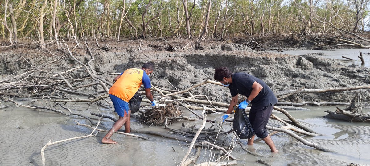 BhadPunyasloke's tweet photo. #WorldMangroveDay 
Our enthusiastic team involving locals are systematically clearing and documenting plastic debris brought in by Amphan and Yaas cyclones in Sundarbans.Thank you WTI RAP grant for supporting us @wti_org_india @vivek4wild @Noelmenon @SnehaaSun @Mangroves https://t.co/1xPMXYLUmK