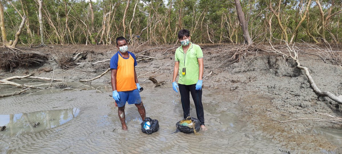 Punyasloke Bhadury (@bhadpunyasloke) on Twitter photo #WorldMangroveDay
Our enthusiastic team involving locals are systematically clearing and documenting plastic debris brought in by Amphan and Yaas cyclones in Sundarbans.Thank you WTI RAP grant for supporting us <a href="/wti_org_india/">Wildlife Trust of India</a> <a href="/vivek4wild/">Vivek Menon</a> <a href="/Noelmenon/">Amrit Menon</a> <a href="/SnehaaSun/">Snehaa Sundaram</a> <a href="/Mangroves/">Global Mangrove Alliance</a> #WorldMangroveDay
Our enthusiastic team involving locals are systematically clearing and documenting plastic debris brought in by Amphan and Yaas cyclones in Sundarbans.Thank you WTI RAP grant for supporting us <a href="/wti_org_india/">Wildlife Trust of India</a> <a href="/vivek4wild/">Vivek Menon</a> <a href="/Noelmenon/">Amrit Menon</a> <a href="/SnehaaSun/">Snehaa Sundaram</a> <a href="/Mangroves/">Global Mangrove Alliance</a>