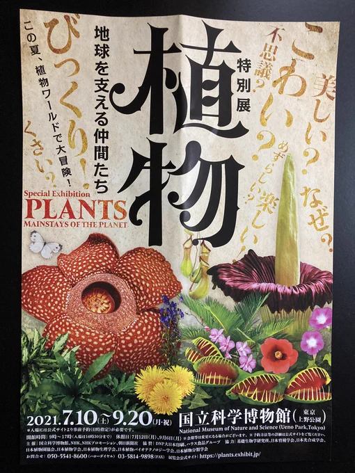 子供と図書館行くと夏の催し物のチラシたくさん置いてあって面白いなあ。なかなか行けないけどねこの夏も。子供はみんな大好きラフレシア! 