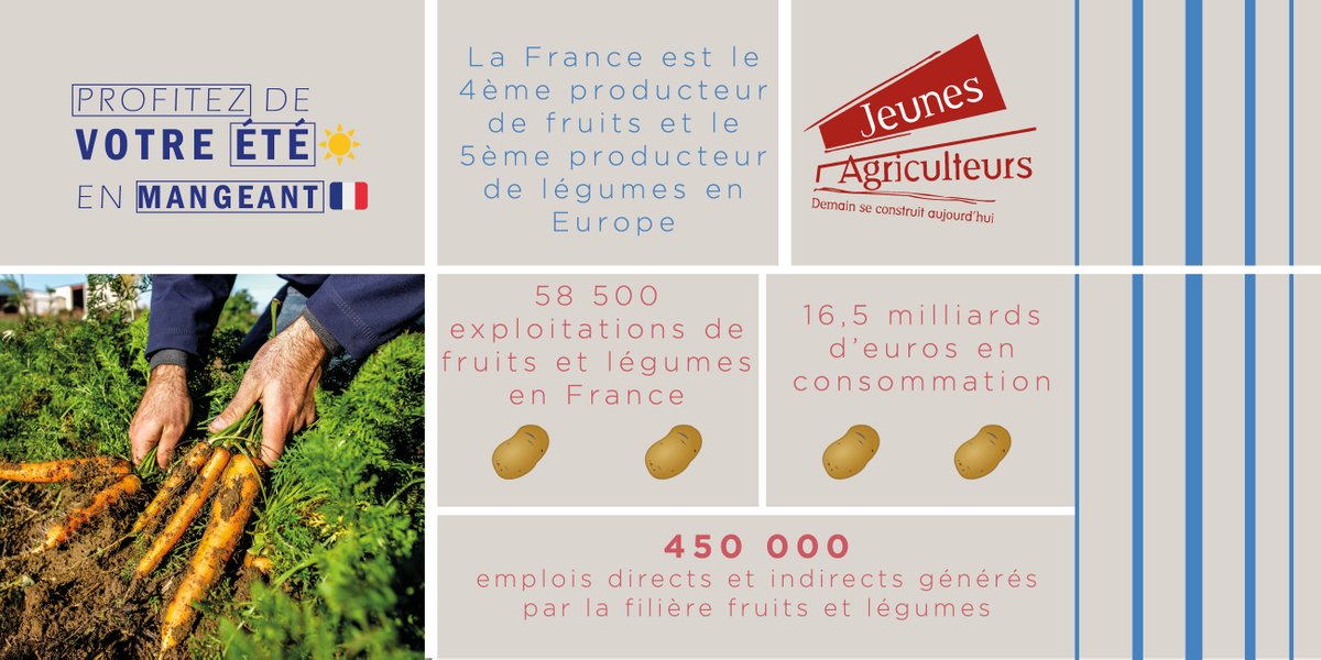 ☀️A l'occasion de cet été ☀️, n'oubliez pas que les agriculteurs sont les partenaires de vos moments de convivialité ! 
Aujourd'hui, découvrez les chiffres des fruits 🍏🍎🫐🍒et légumes🥒🥕🍆🍅 en France ! 
Soutenez-les agriculteurs ➡️ #MangezFrançais 🇫🇷