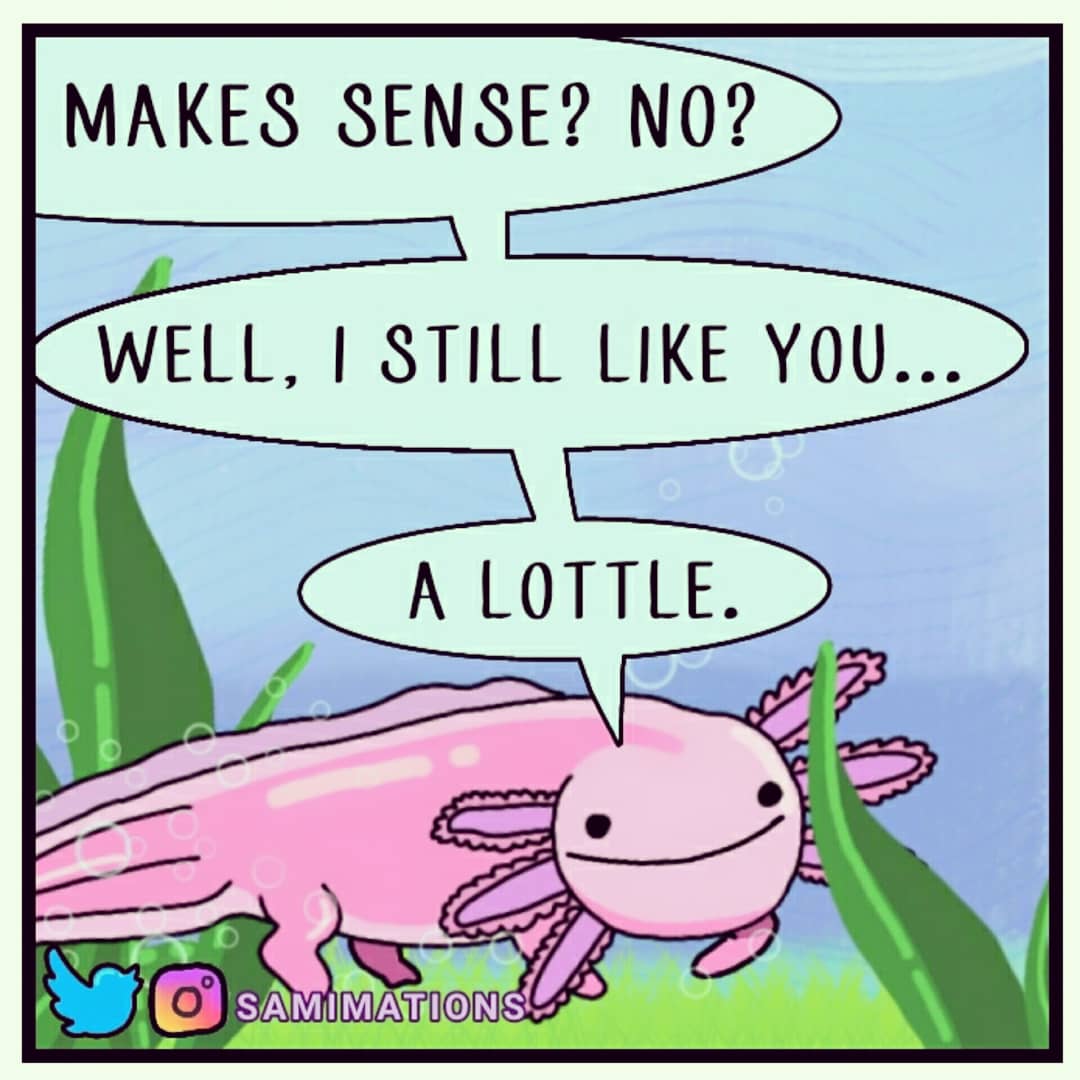 Samimations2's tweet photo. Axolotl likes you :) https://t.co/ds0OcjD5jX
