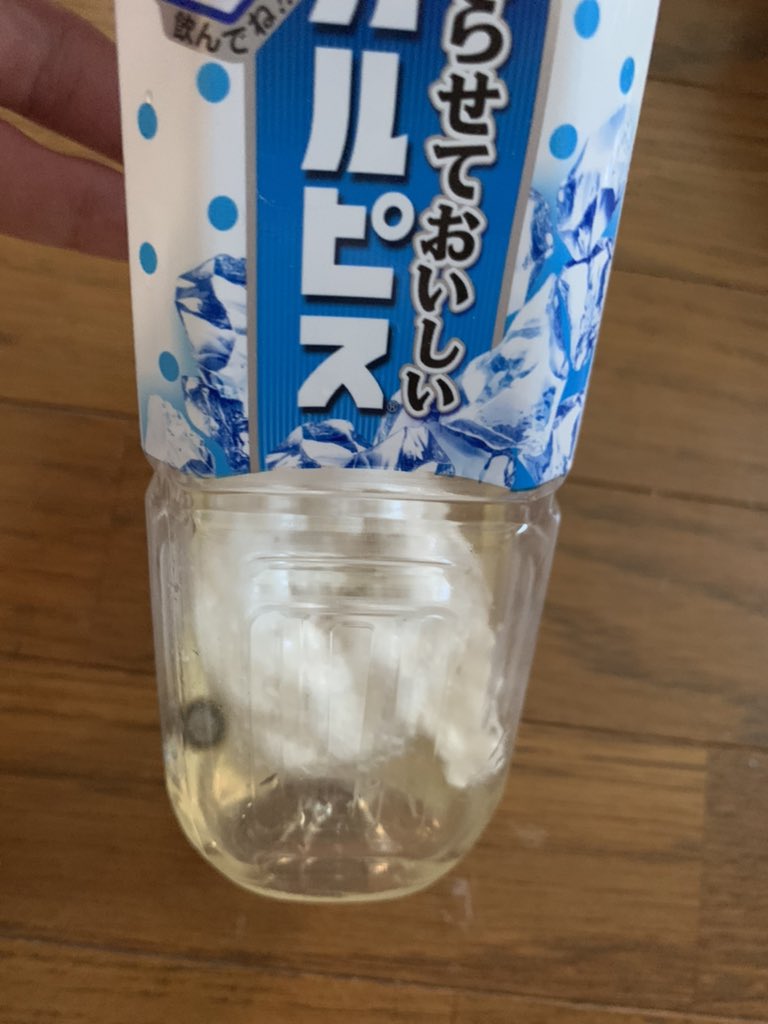 2024年5月から放置したカルピス 2024年5月から放置したカルピス 2024年5月から放置したカルピス